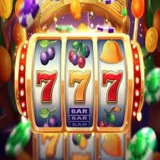 312 app