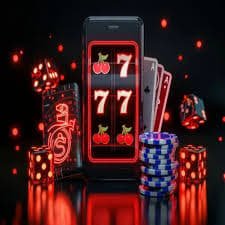 312 app